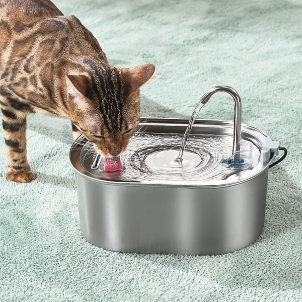 Pet Filtered Water Fountain